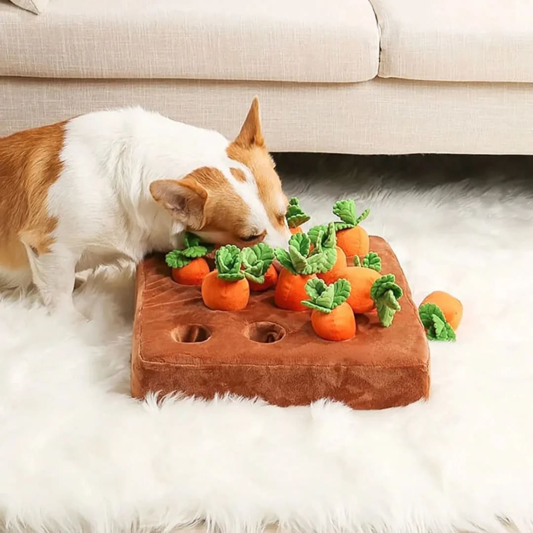 Paws Approved Carrot Farm Plush Toy for Dogs