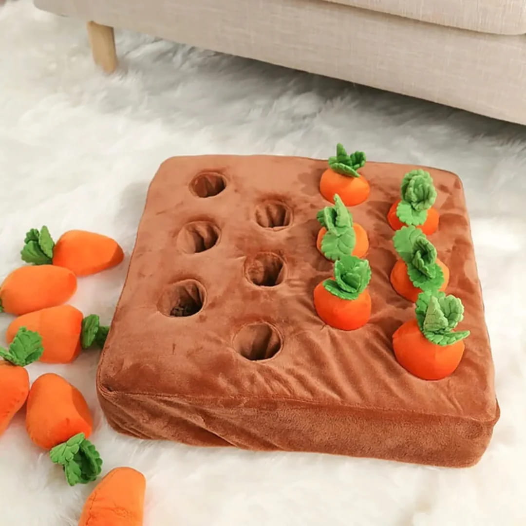 Paws Approved Carrot Farm Toy for Pet Dogs