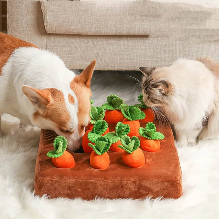 Paws Approved Carrot Farm Toy for Dogs and Cats