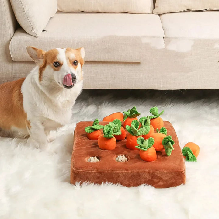 Paws Approved Carrot Farm Toy for Dog 