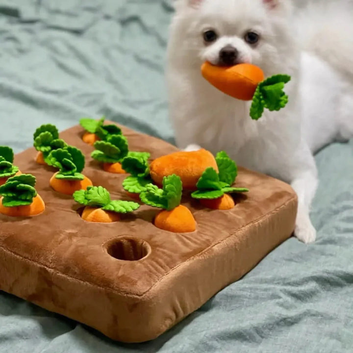 Paws Approved Carrot Farm Toy for Pet Dog 