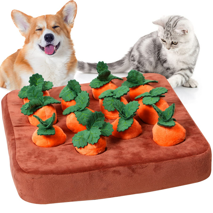 PawsApproved™ - Carrot Dog Toy