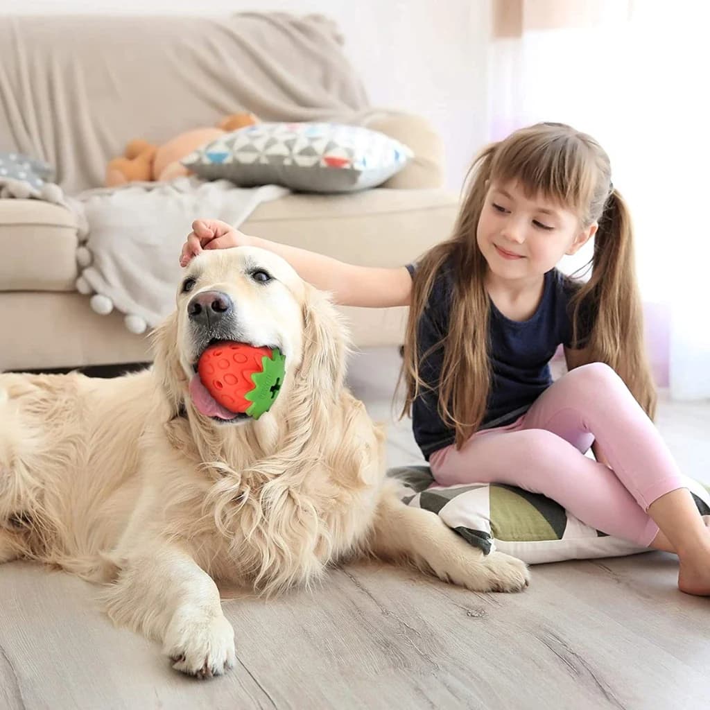 Paws Approved Strawberry Chew Toy for Dogs