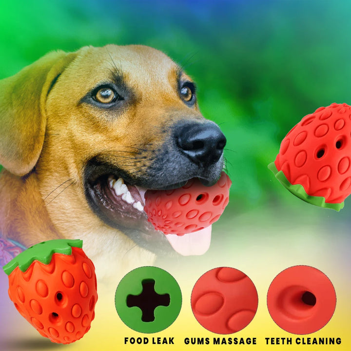 Chew-Berry Dog Dental Toy Functions