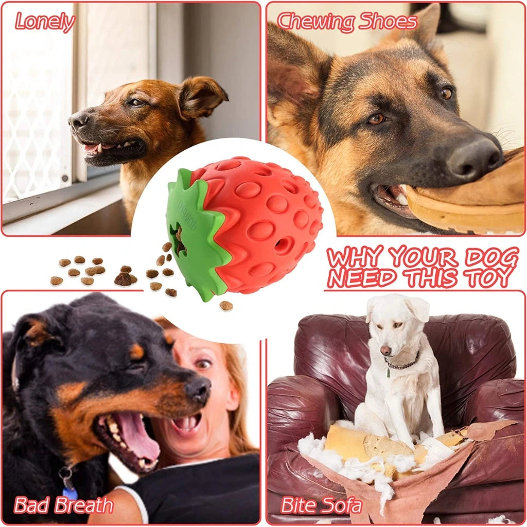 Why Your Dog Need Chew-Berry Dog Dental Toy
