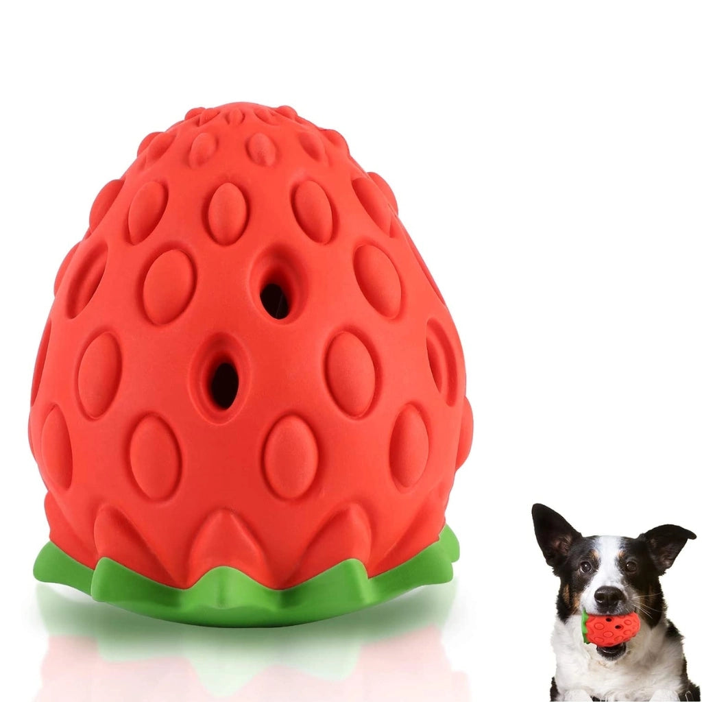 Chew-Berry Dog Dental Toy