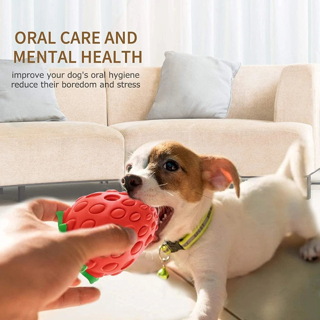 Oral Care and Mental Health Benefits of Chew-Berry Dog Dental Toy