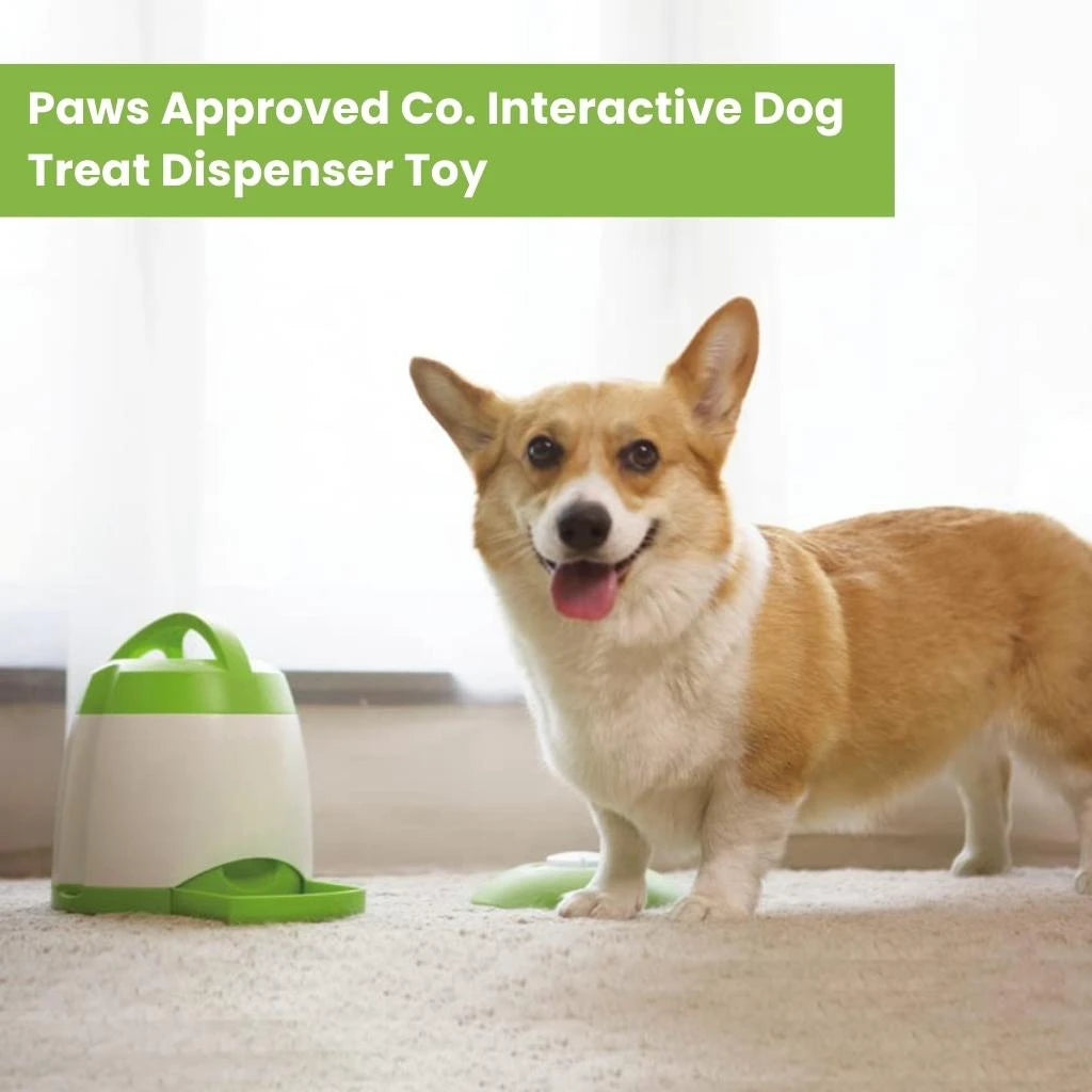 Paws Approved Interactive Dog Treat Dispenser Remote Control