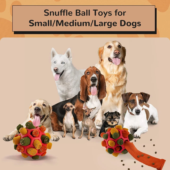 Paws Approved Pet Snuffle Ball Toys For Small, Medium & Large Dogs
