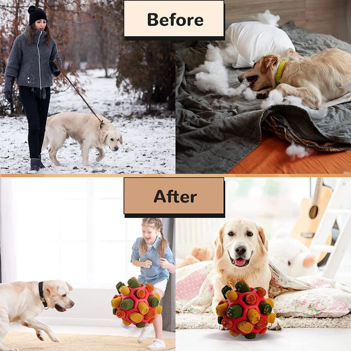 Dogs Before and After having Pet Snuffle Ball Toys For Dogs