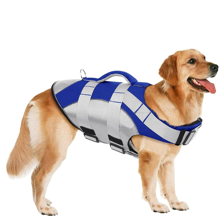 A Dog Wearing Blue Dog Life Jacket
