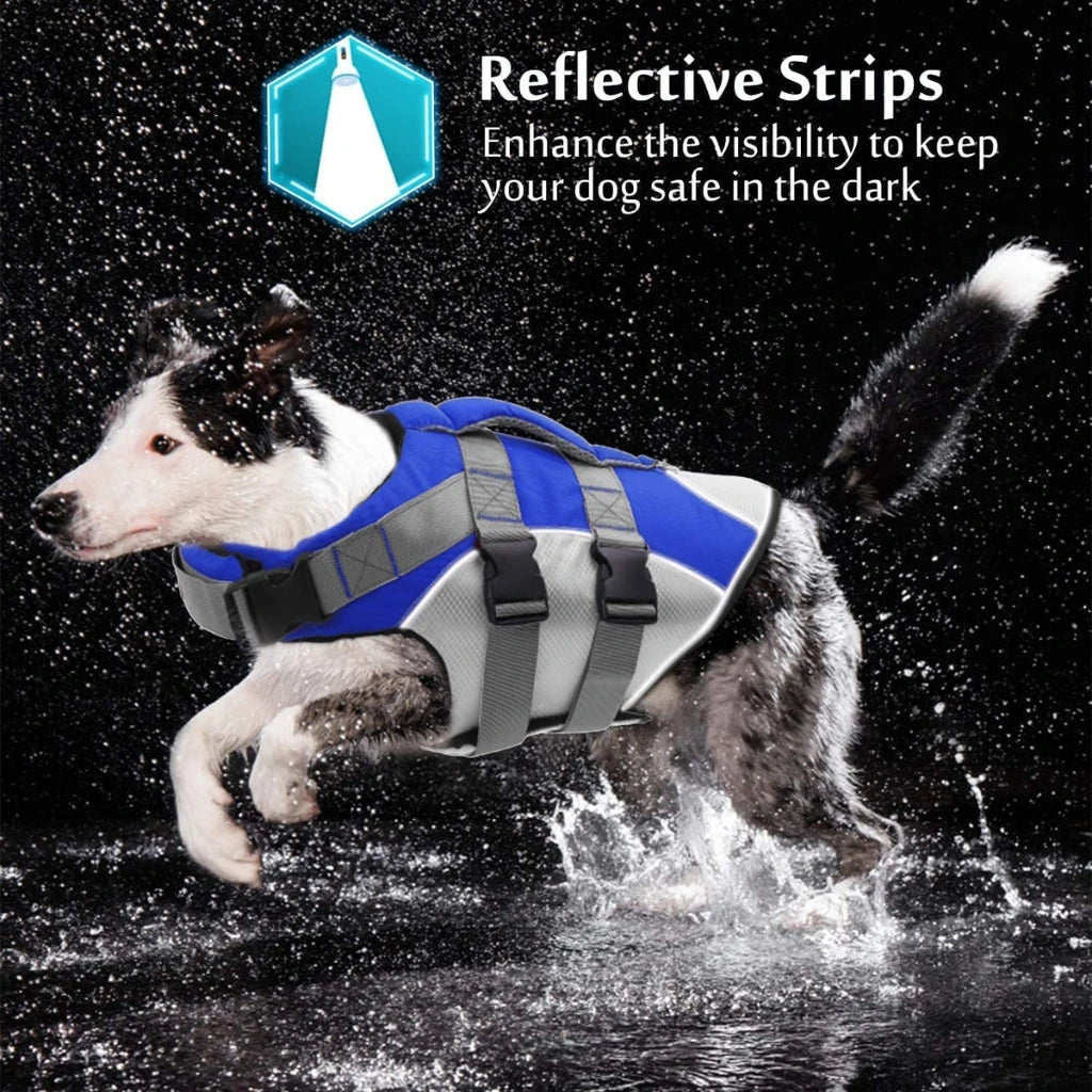 A Dog Wearing Blue Reflective Strip Life Jacket