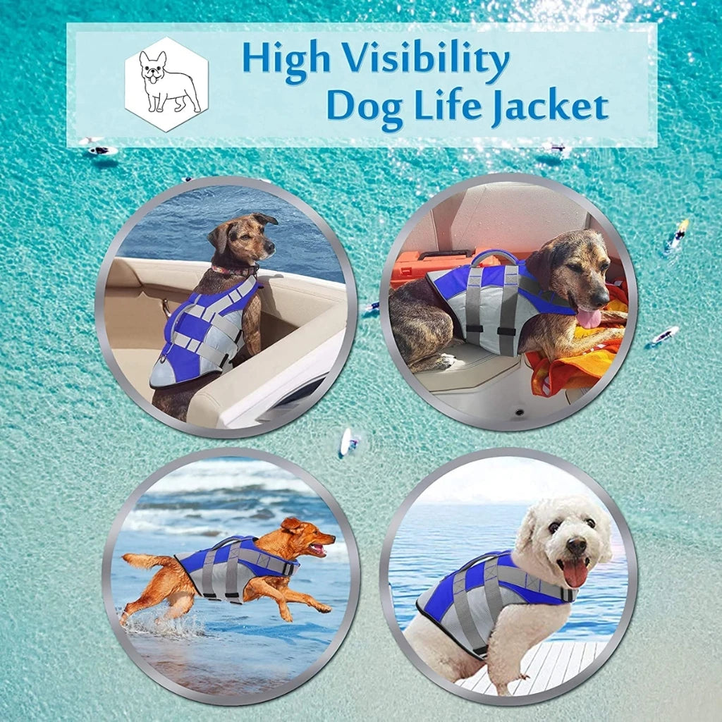 A Dog Wearing Blue High Visibility Dog Life Jacket