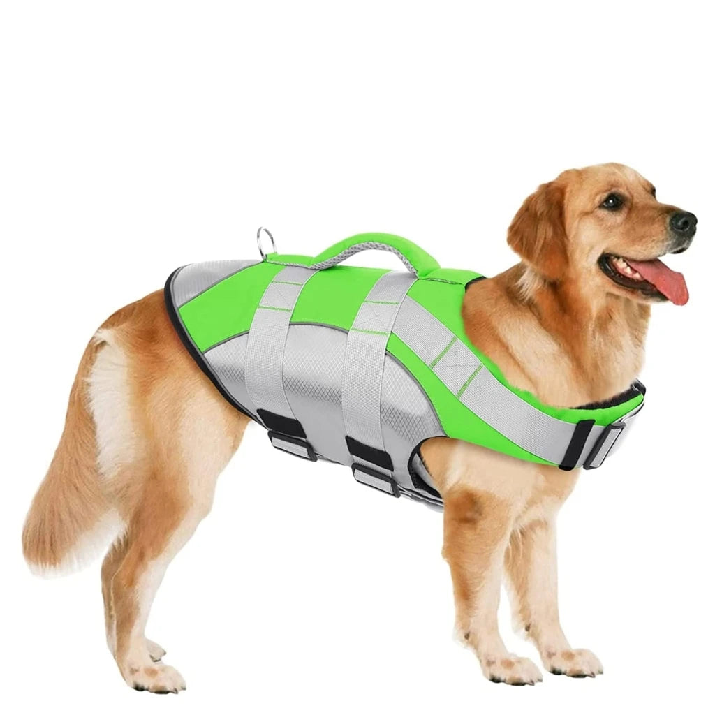 A Dog Wearing  Green Life Jacket