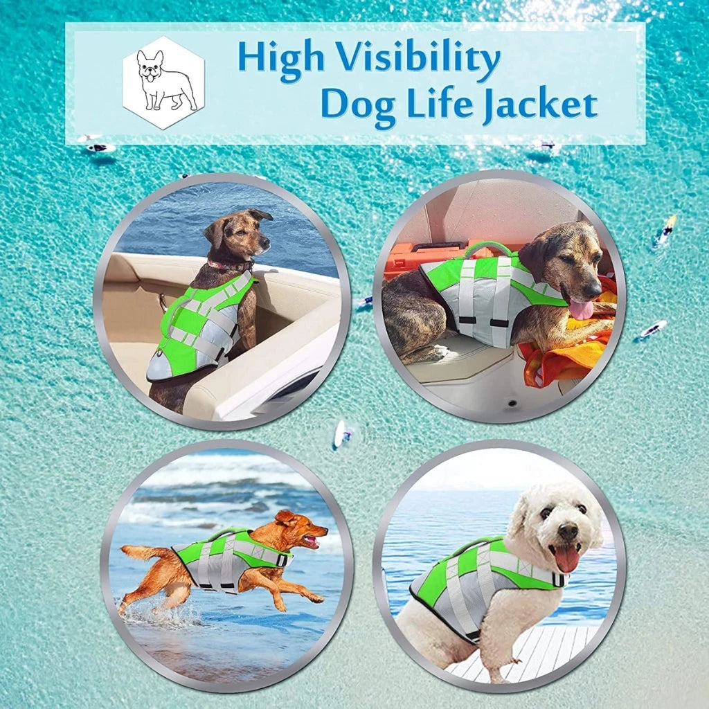 A Dog Wearing Green High Visibility Dog Life Jacket