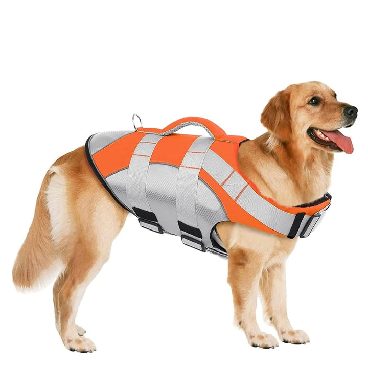 Dog Wearing Orange Splash Dog Life Jacket