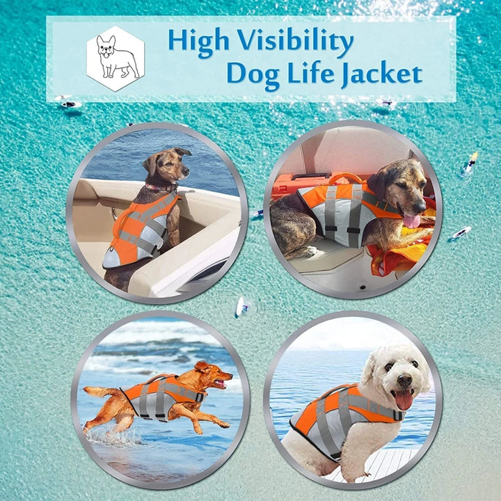 A Dog Wearing Orange High Visibility Dog Life Jacket