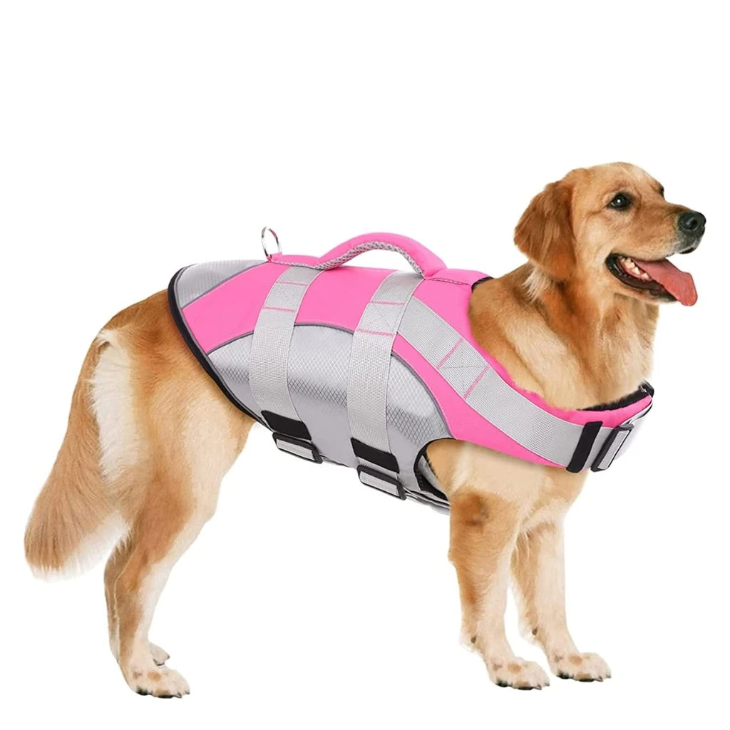 A Dog Wearing Pink Dog Life Jacket