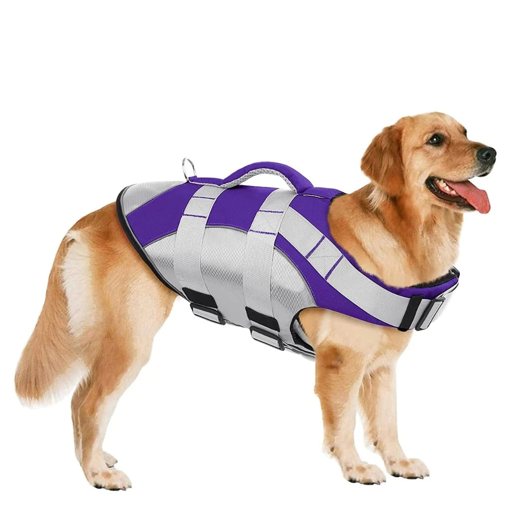 A Dog Wearing Purple Dog Life Jacket