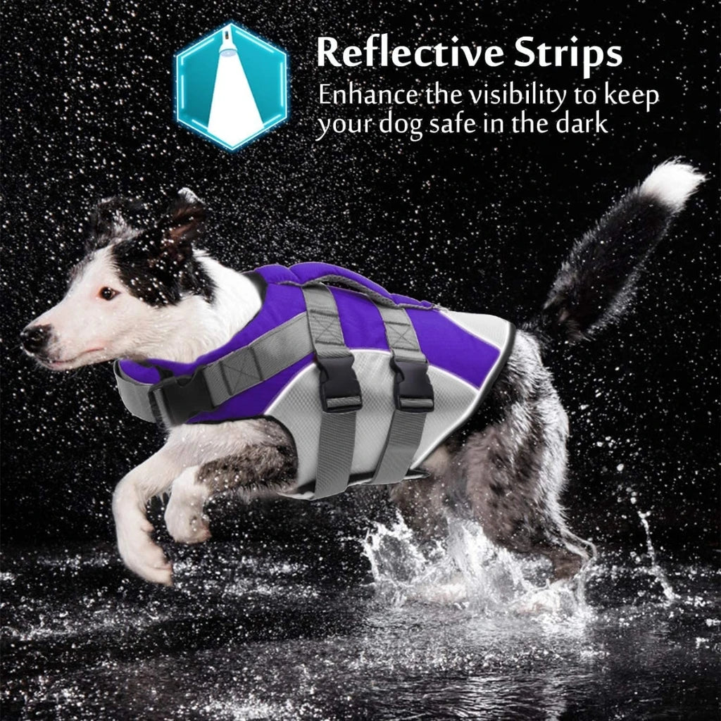 A Dog Wearing Purple Reflective Strip Life Jacket