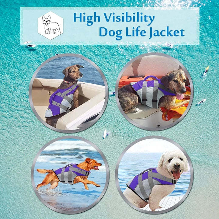 A Dog Wearing Purple High Visibility Dog Life Jacket