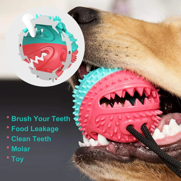 PawsApproved™ - Suction Dog Toy