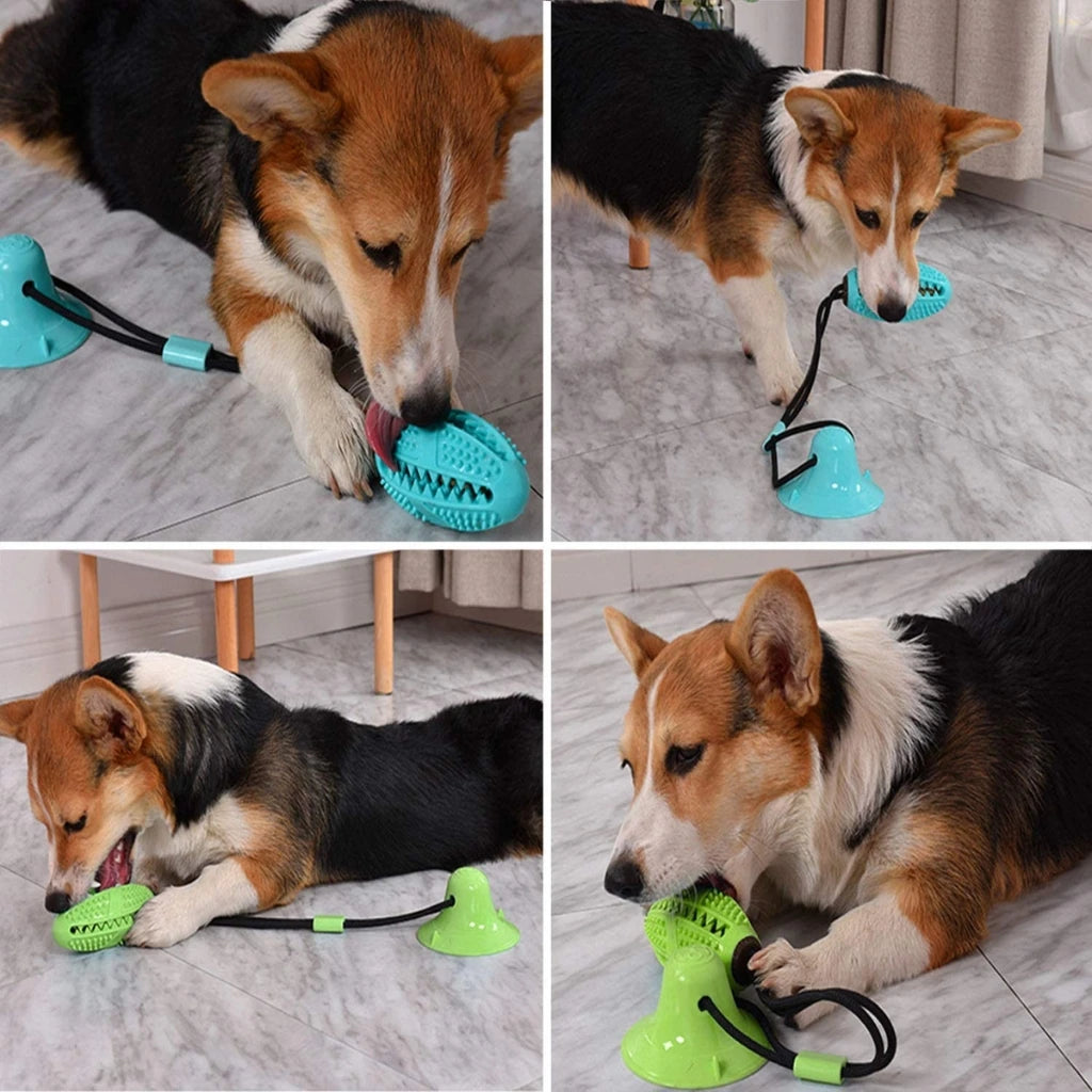 Dog playing Tug Of War Chew Toy